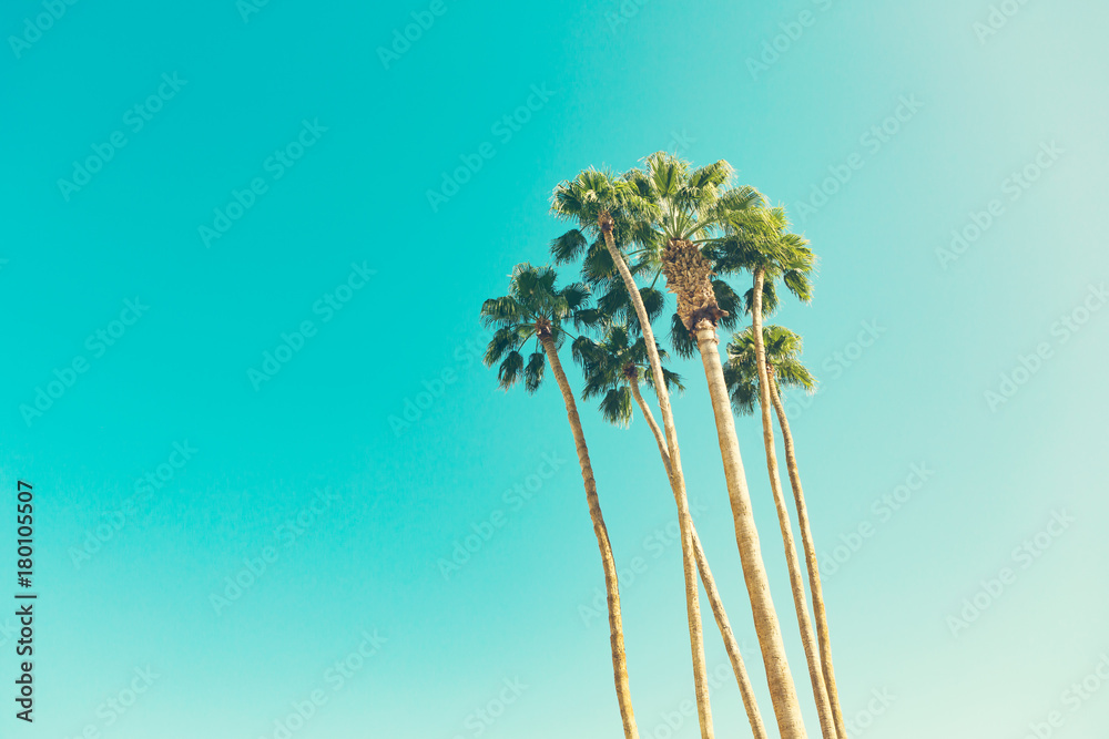 Naklejka premium retro palmy kalifornijskie