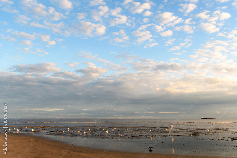 Morgensonne am Meer: Nordsee, Strand auf Langenoog, Ruhe, Dünen, Natur, Entspannung, Erholung, Ferien, Urlaub, Meditation :) Morgensonne am Meer: Nordsee, Strand auf Langenoog, Ruhe, Dünen, Natur, Entspannung, Erholung, Ferien, Urlaub, Meditation :)