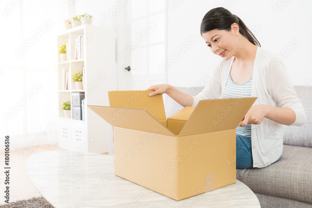 elegant young woman received the parcel at home elegant young woman received the parcel at home