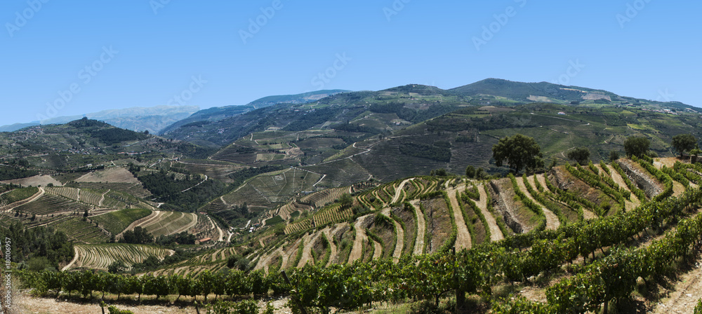 panorama view of the douro valley, portugal