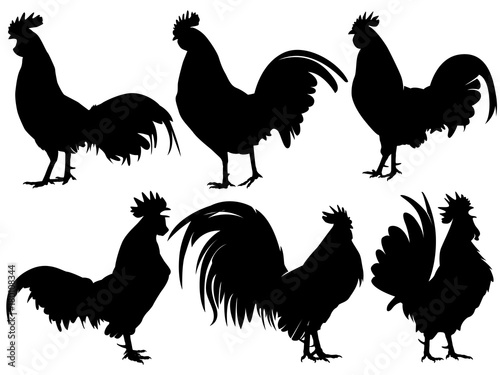 Obraz na plátně rooster chicken silhouette set