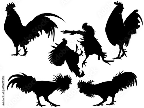 Fototapeta rooster chicken silhouette set