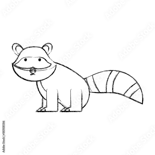 cartoon raccoon icon over white background vector illustration