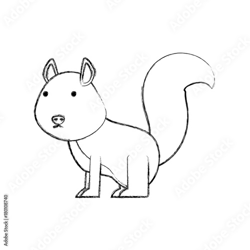 cartoon squirrel icon over white background vector illustration