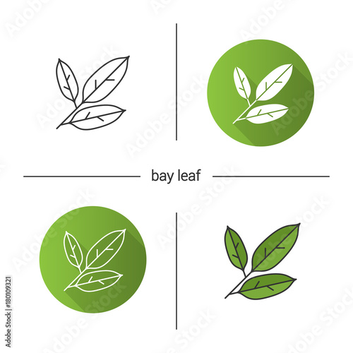 Bay leaves icon