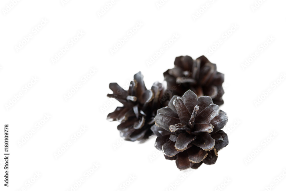 Three pine cones on a white background. Isolated. Three pine cones on a white background. Isolated.
