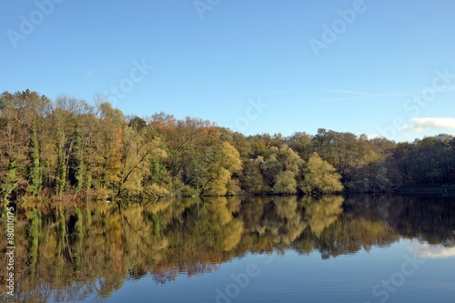 weidenbäume