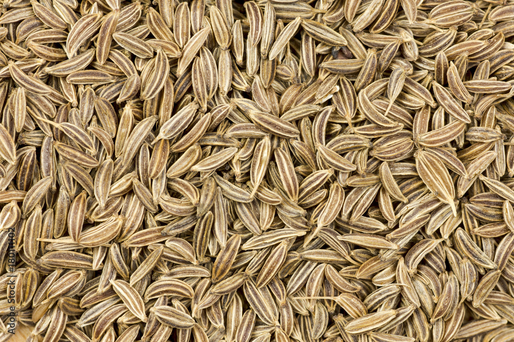Close-up photo of splinted caraway surface - texture Close-up photo of splinted caraway surface - texture