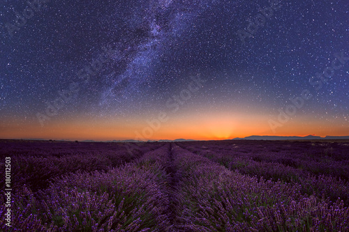 Photography Lavender field at night in Provence, amazing landscape with starry sky, milky wa