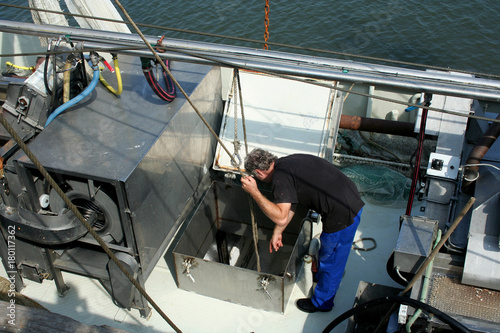 Work on a shrimp fishing boat