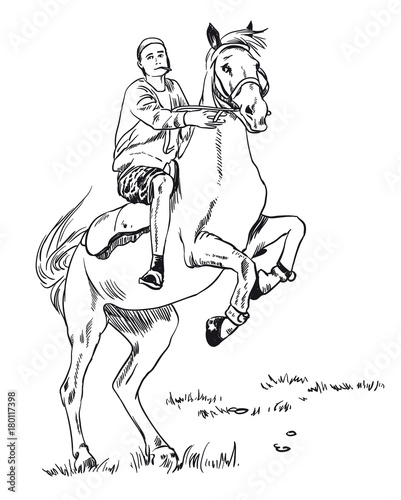 Fototapeta Naklejka Na Ścianę i Meble -  young guy rider riding a horse that stands on its hind legs, sketch vector illustration