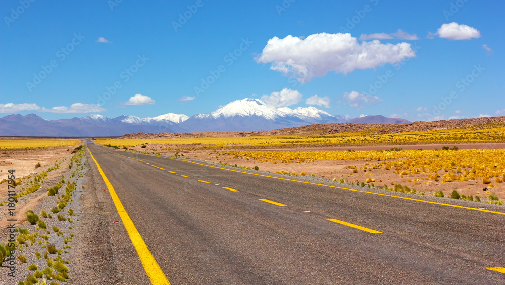 A road leading to snowy volcanic mountains, Chile, North America. Atacama Desert panorama with empty road, grass land and mountains on horizon.