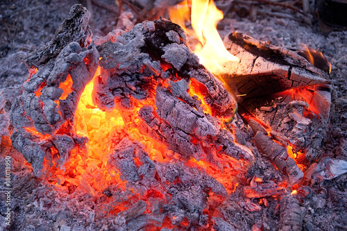 burning in the bonfire
