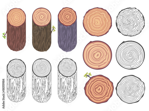 Tree rings saw cut tree trunk barrel bark natural decorative design elements set vector illustration