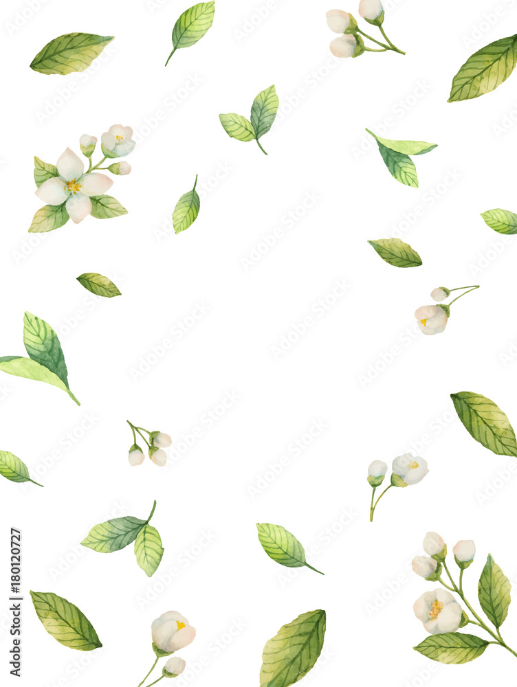 Watercolor vector frame of flowers and branches Jasmine isolated on a white background.