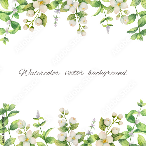 Watercolor vector frame of flowers and branches Jasmine isolated on a white background.