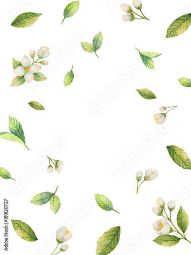 Watercolor vector frame of flowers and branches Jasmine isolated on a white background.