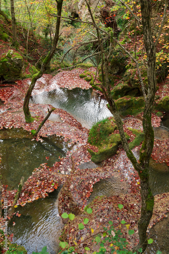 Fototapeta premium The natural park of Urederra autumnal, Spain