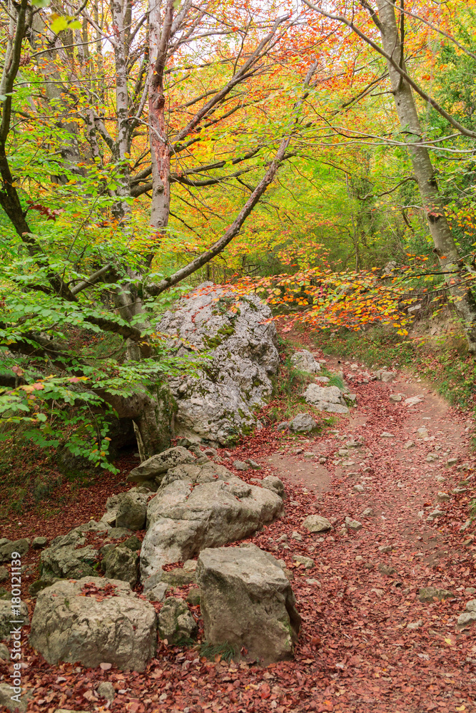 The natural park of Urederra autumnal, Spain The natural park of Urederra autumnal, Spain