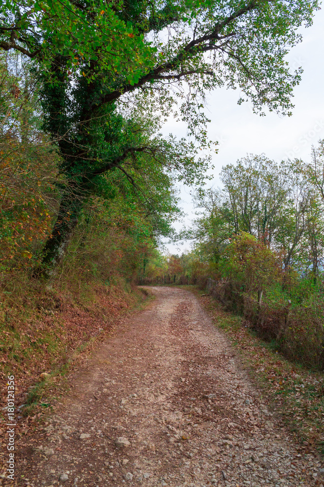 The natural park of Urederra autumnal, Spain The natural park of Urederra autumnal, Spain
