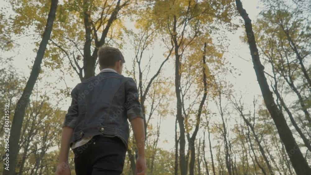 Child walks in the autumn forest Child walks in the autumn forest