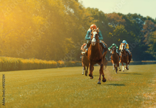 Fototapeta Several racehorses with jockeys during a horse race