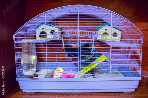 Fotografie Cage for small Pets - rats, mice, rabbits, etc