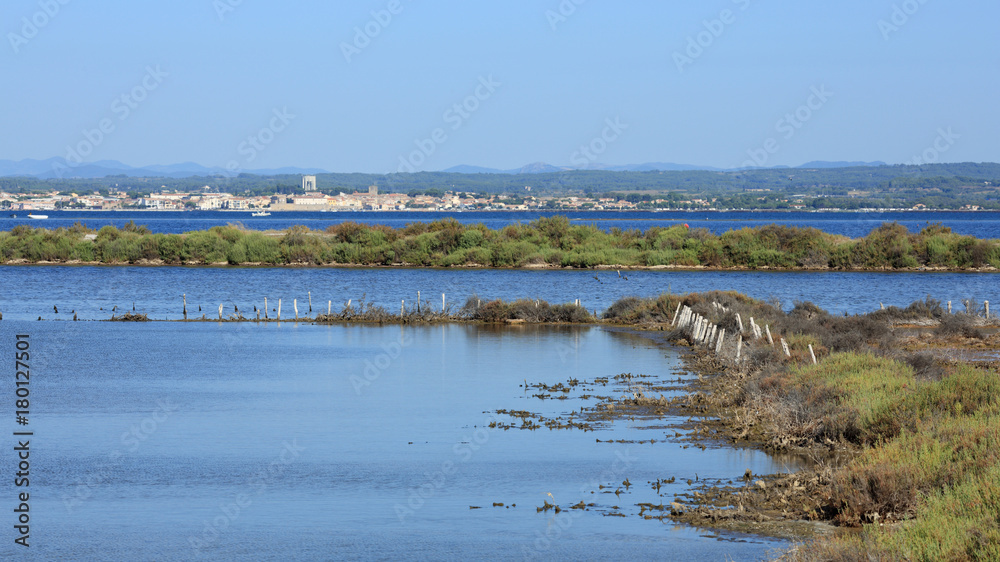 Fototapeta premium Bassin de Thau