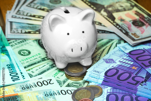 Pig piggy bank with cash closeup