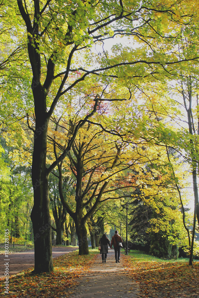 park jesienią i spacerująca para