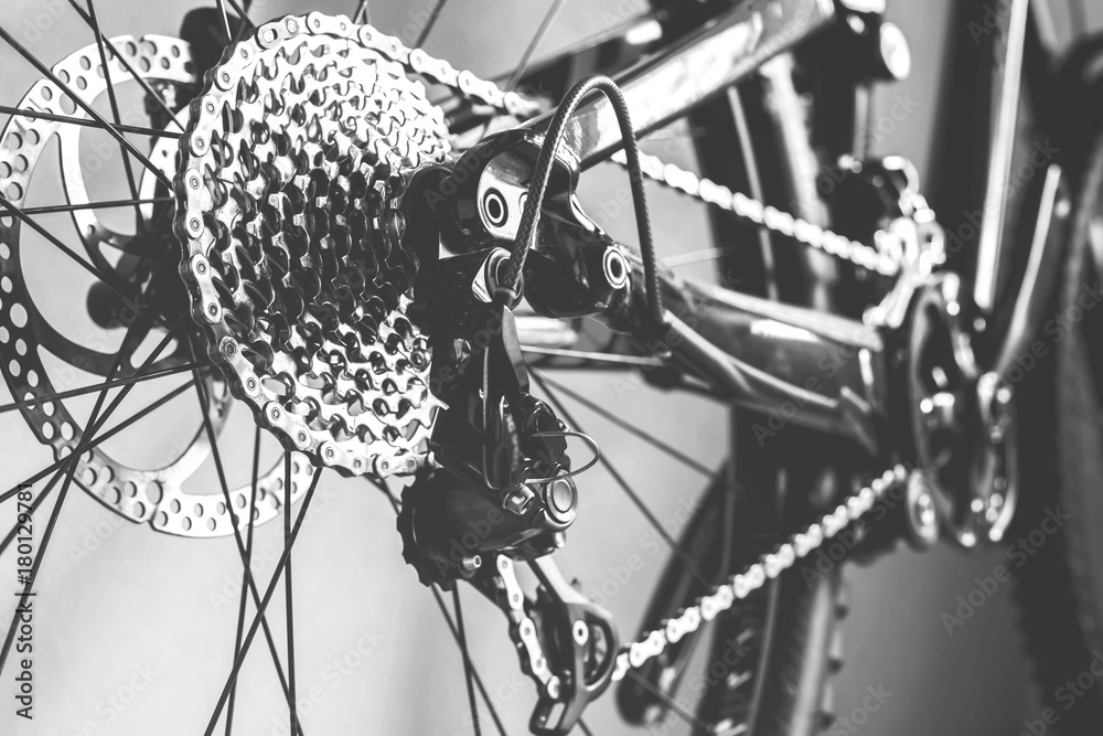 Fototapeta premium Bicycle details black and white frame, rear wheel mountain bike gear from view