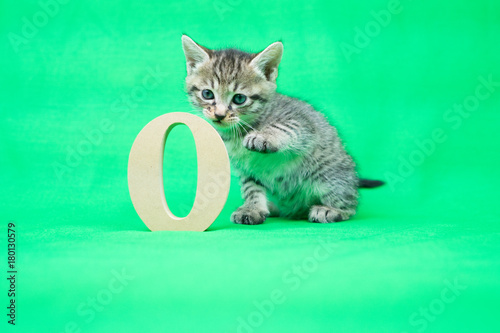 Cuadro en lienzo 数字と子猫