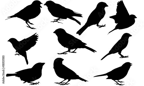 Sparrow Silhouette Vector Graphics