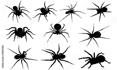 Spider Silhouette Vector Graphics