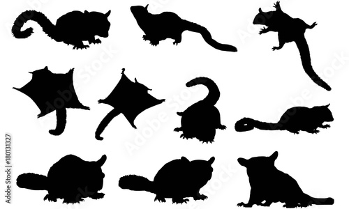Sugar Glider Silhouette Vector Graphics