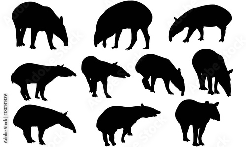 Tapir Silhouette Vector Graphics