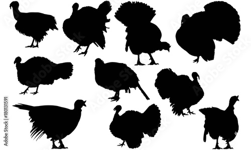 Turkey Silhouette Vector Graphics