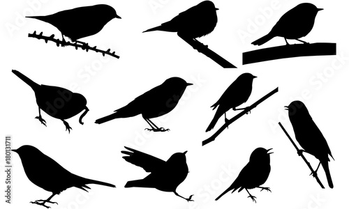 Warbler Silhouette Vector Graphics