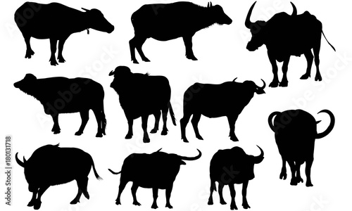 Water buffalo Silhouette Vector Graphics