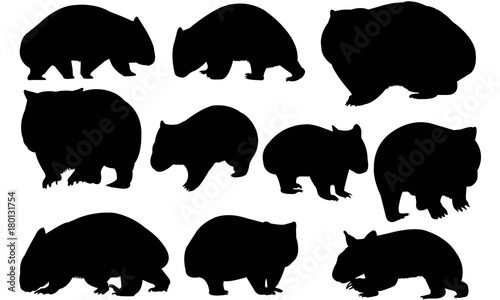 Wombat Silhouette Vector Graphics photo
