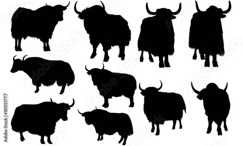 Yak Silhouette Vector Graphics