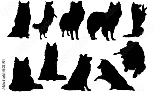 Shetland Sheepdog Dog Silhouette Vector Graphics