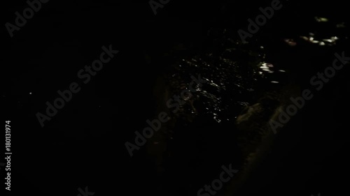 crocodile hunt in the night,opens the mouth to catch prey
