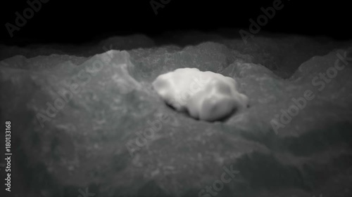 3D CG animation of cell movement and division