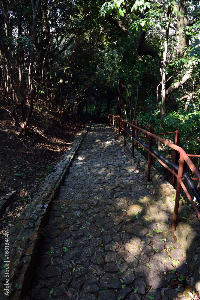 Fototapeta premium Cobbled alley is heading into the forest in Fukuoka prefecture, JAPAN.