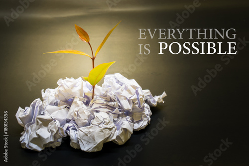 Fotografi little plant grow up on Crumpled paper i