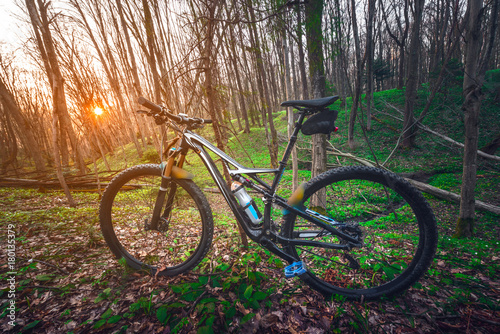 Modern enduro bike in the woods