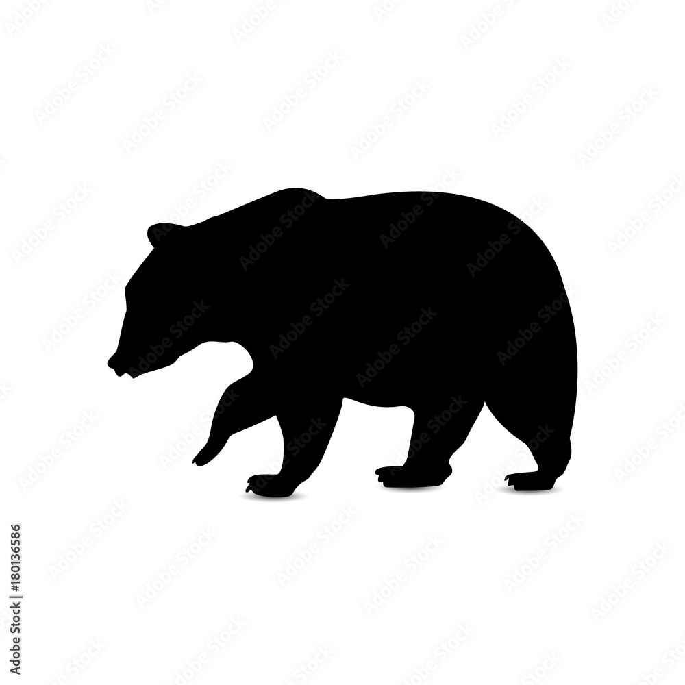 Fototapeta premium Silhouette of brown bear.