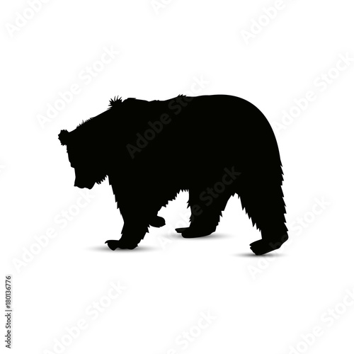 Silhouette of brown  bear.