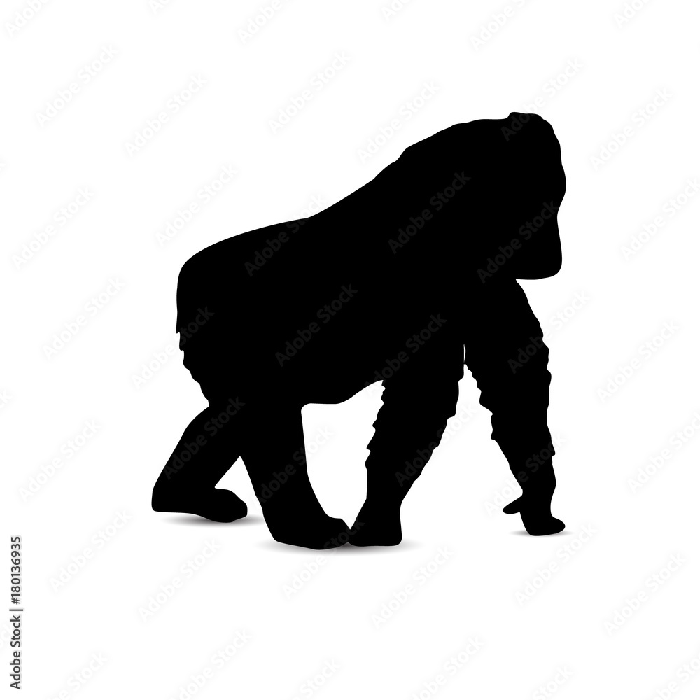 Silhouette of running gorilla. Silhouette of running gorilla.